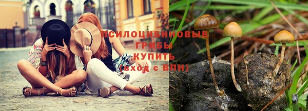 ешки Алексин