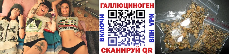 Купить  Алексеевка  Галлюциногенные грибы ЛСД 